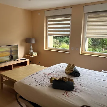 Apartment Foret 2-4 Personnes Avec Jardin Proche Europa-park, Mi-distance Entre Strasbourg Et Colmar